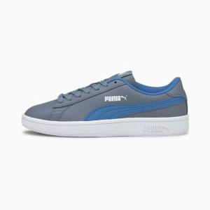 Grey / Blue Boys' Puma Puma Smash v2 Youth Sneakers | PM576WDS